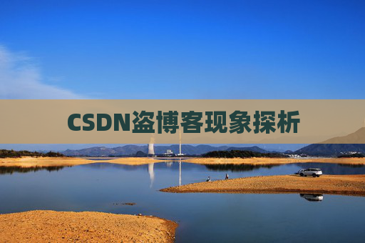 CSDN盗博客现象探析 CSDN盗博客现象探析